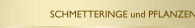 SCHMETTERINGE und PFLANZEN